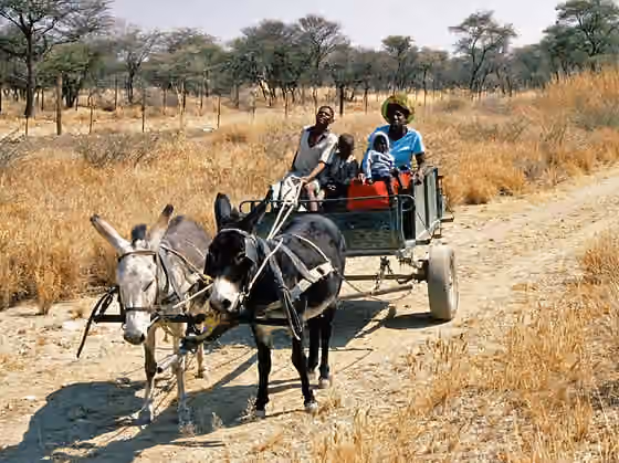 orang Damara — Damara people in Damaraland , Namibia