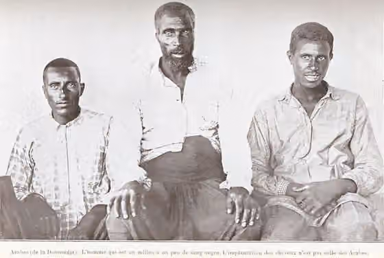 Dobrujan Arabs — Dobrujan Arabs