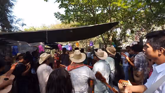 Son jarocho — Celebrando a Salvador Tome Chacha