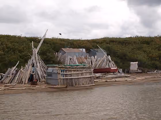 Inuvialuit — Traditional Inuvialuit whaling camp protected by driftwood on the shores of the Arctic Ocean 20 miles from Tuktoyaktuk, NWT, Canada