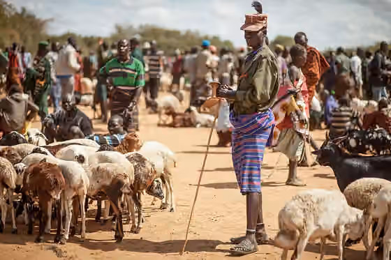 Karamojong — This is an image of "African people at work" from