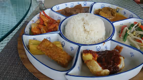 Nasi padang — Dokumentasi Nasi padang yang dirujuk oleh sumber.