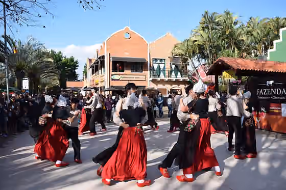 Dutch folk dance — A Dutch folklore group in Holambra , Brazil This photo has been taken in the country: Brazil