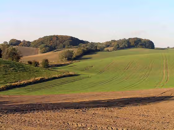 Dane — View west from the earliest hall site.