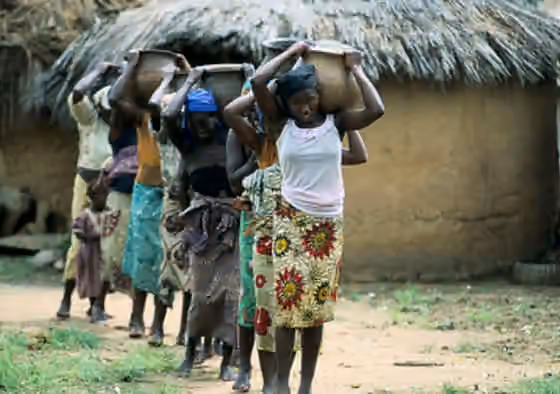 Ngizim people — Ngizim tribe in northeastern Nigeria