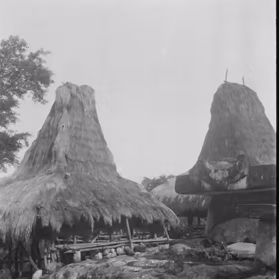 orang Sumba — negatief.
