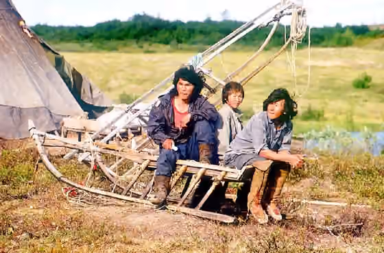 suku Nenets — Nentzen in der Tundra bei Dudinka (69°29'N - 86°17'E) Taymyria, Krasnoyarsk kray, Russland