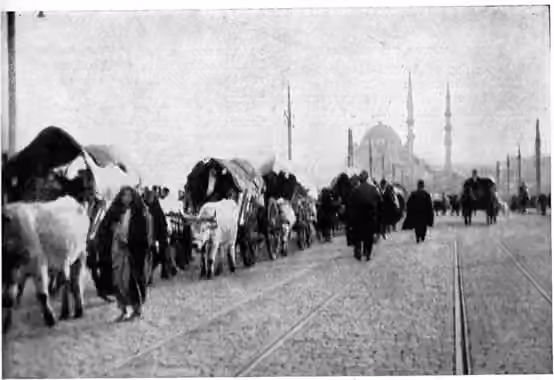 Muhacir — Muhajirs from Balkans in Turkey during the First Balkan War.
