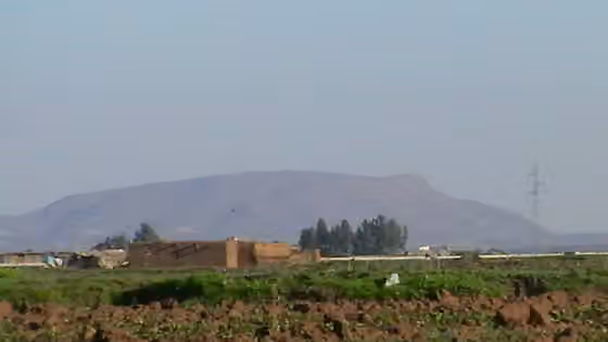 Doukkala — Plain of Doukkala , with the Jbel Khedar (Green Mountain) behind