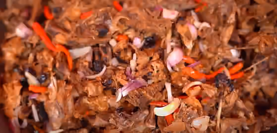 Pagpag — Filipino Pagpag