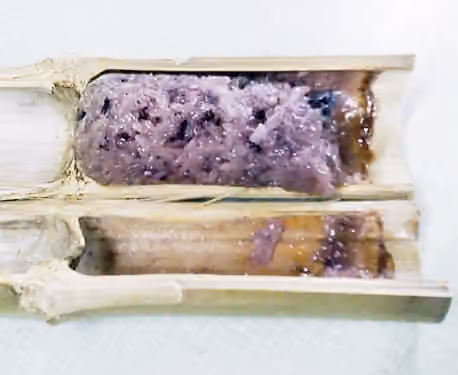 Sticky rice in bamboo — Khao lam ข้าวหลาม riz gluant cuit avec du lait de noix de coco dans un tube de bambou thailand