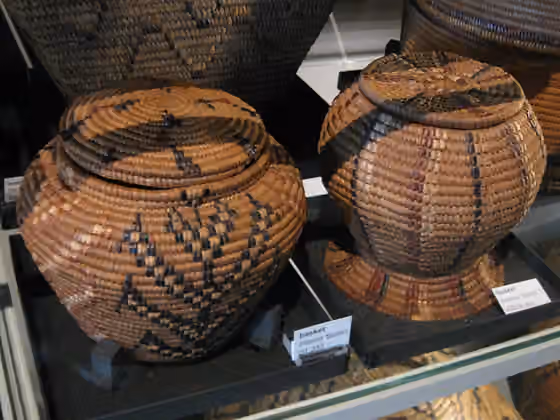 Interior Salish peoples — This is an interior BC Salish people's basket.