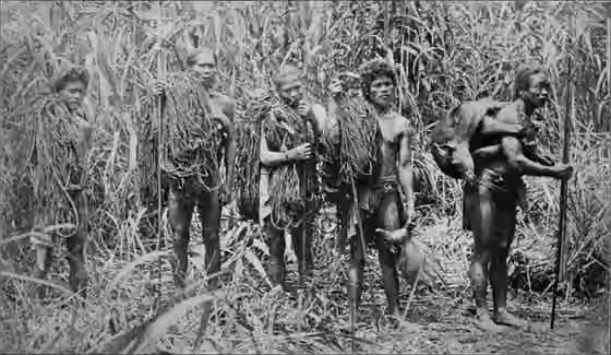 Cagayan Valley and Caraballo ethnolinguistic groups — Ilongot hunting party