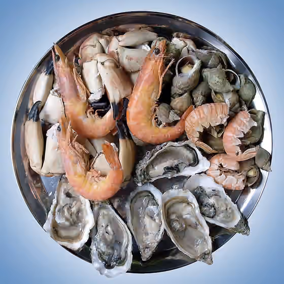 makanan laut — Seafood platter