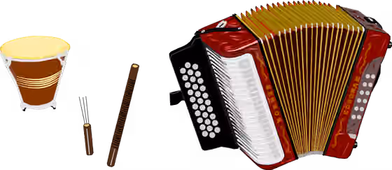Vallenato — Musical instruments of the vallenato music.