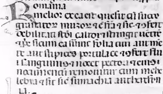 Rummaniyeh — Iamboninus Cremonensis, Liber de ferculis BNF latin 9328 f 159r "Romania"