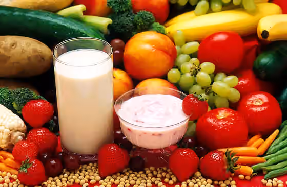 masakan vegetarian — A diet rich in soy and whey protein, found in products such as soy milk and low-fat yogurt, has been shown to reduce breast cancer incidence in rats.