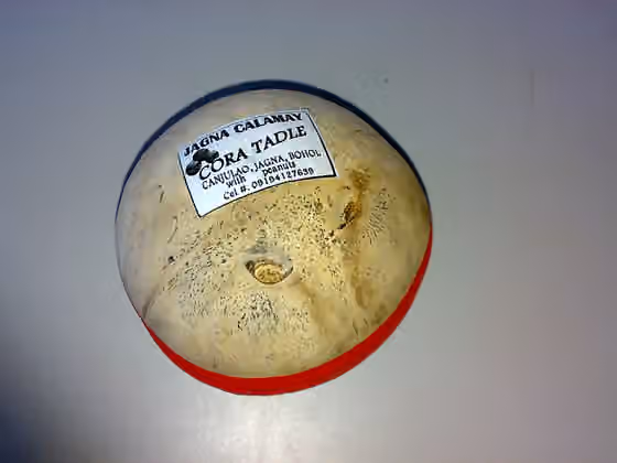 Kalamay — Kalamay is a delicacy that comes from Bohol .