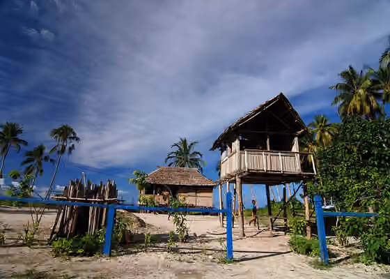 orang Biak — Rumah kayu suku Biak