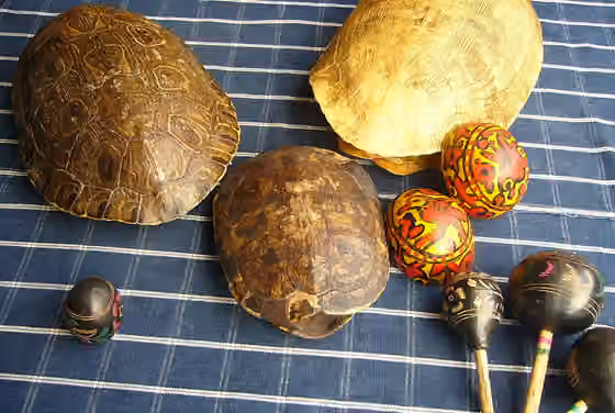 Music of Guatemala — Turtles and chinchines, Guatemalan musical instruments for Christmas