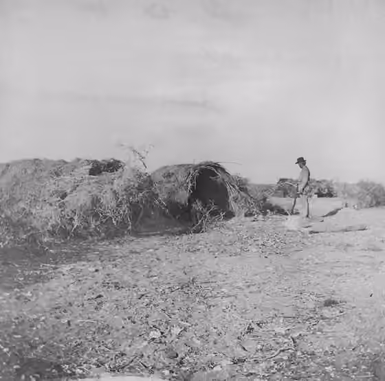 Suku Seri — Photo of a group of abandoned Seri huts on Tiburon Island, Mexico.