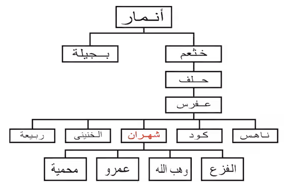 Shahran — شجرة نسب تُبيّن أقسام قبيلة أنمار وفروعها
