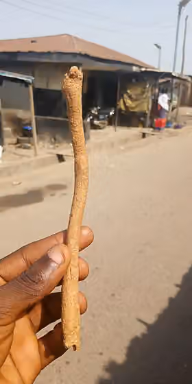 Kuli-kuli — Kuli is majorly eaten among the Yorubas and hausa tribd of Nigeria .