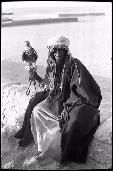 Mutayr — صوره تنسب الى الشاعر غنيم بن بطاح المطيري ، احد فرسان قبيلة مطير‬⁩