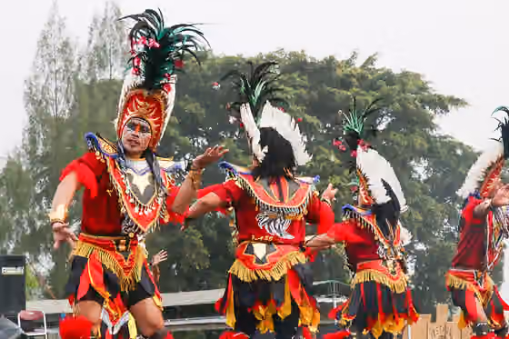 Ireng mask dance — Topeng Ireng adalah salah satu kesenian tradisional yang berkembang di daerah lereng Gunung Merapi dan Gunung Merbabu sejak zaman penjajahan Belanda dan perkembangannya berlanjut hingga tahun 1960-an.