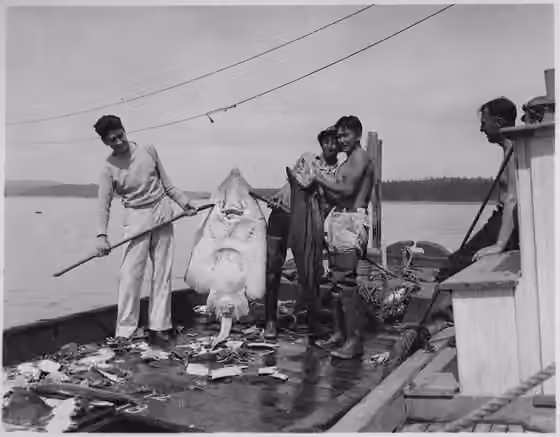 Swinomish people — Dokumentasi Swinomish people yang dirujuk oleh sumber.