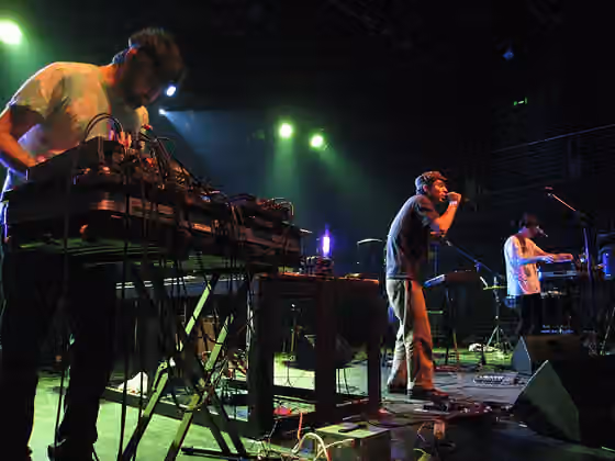 Neo-psychedelia — Concert à Prague en 2008