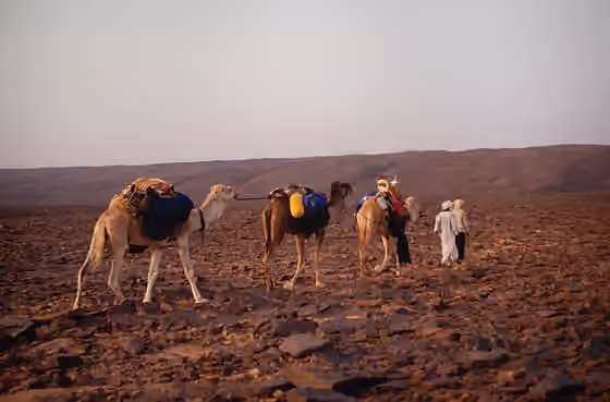 Kel Ajjer — Hammada - Rocky desert in the southern part of the Djebel Essaoui Mellene