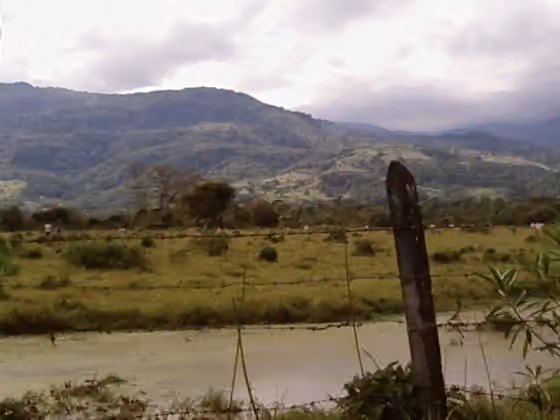 Guayupe — Paysage de la municipalité d'Acacias en Colombie, département de Meta