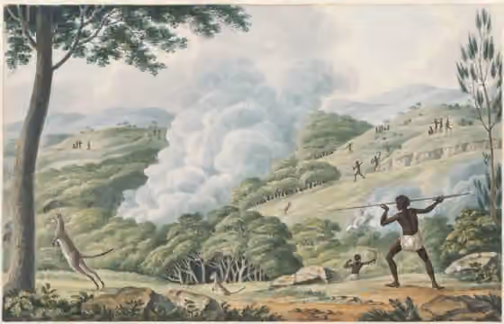 Awabakal — Aborigines using fire to hunt kangaroos