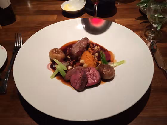 Cuisine of Berlin — Wild-Gericht im Restaurant Volt (Berlin)