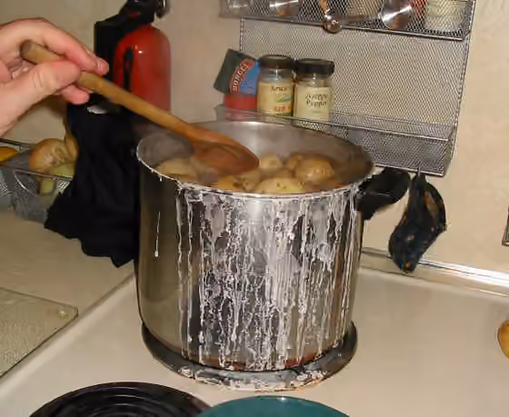 Salt potatoes — Cooking salt potatoes in Syracuse, July 2005.