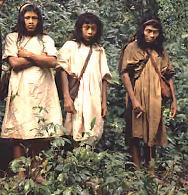 Lacandon people — I junglen med lacandonindianere