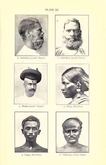 Dravida — Dravidian and mixed Dravidian people of India.