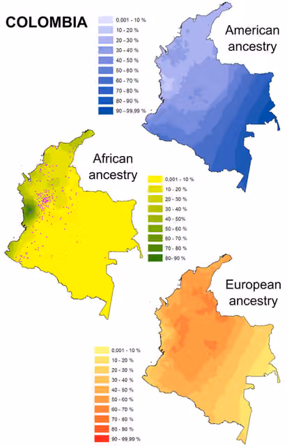 White Colombians — Geographic distribution of Native American (blue), African (green) and European (red) ancestry based on individual estimates for samples from Colombia.