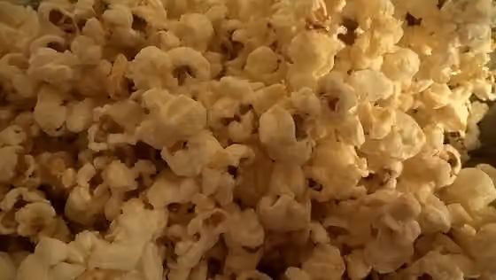 berondong jagung — Dokumentasi berondong jagung yang dirujuk oleh sumber.