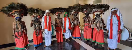 Gussadi dance — Gussadi is a dance form performed by the Gondi Tribe of Telangana, India.