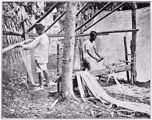 orang Bikol — Vicols (Bikolanos) preparing Hemp -Drawing out the fibre (c.