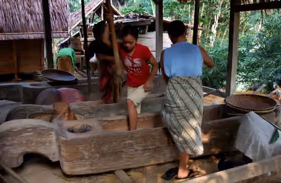 Kasepuhan Banten Kidul — Pounding rice with lesung , a traditional mortar.