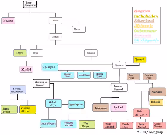 Dhulbahante — Reer Darawiish tribe tree